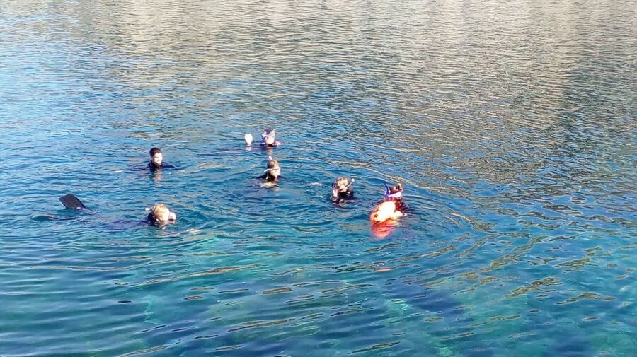 Gran Canaria: Snorkeling Trip - Learning the basics before entering the water