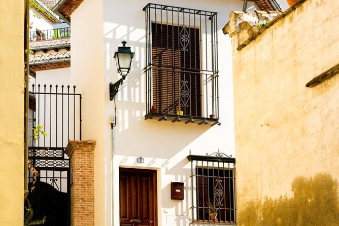 Granada Day Trip with Alhambra and Albaicin Tour from Seville - Group size, guides, and organization