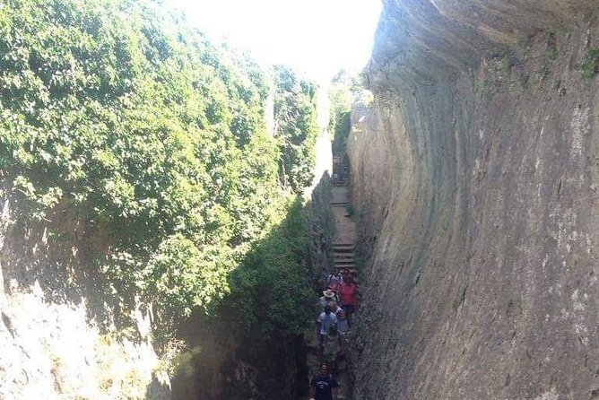 Guided tour in the Enchanted City - Weather, cancellation, and group conditions