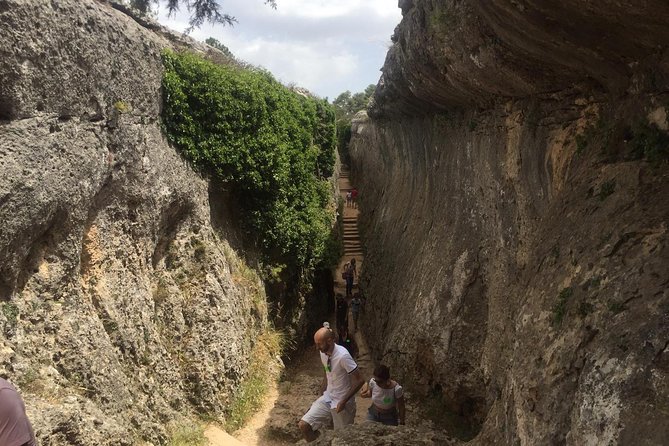 Guided tour in the Enchanted City - Who should book this experience