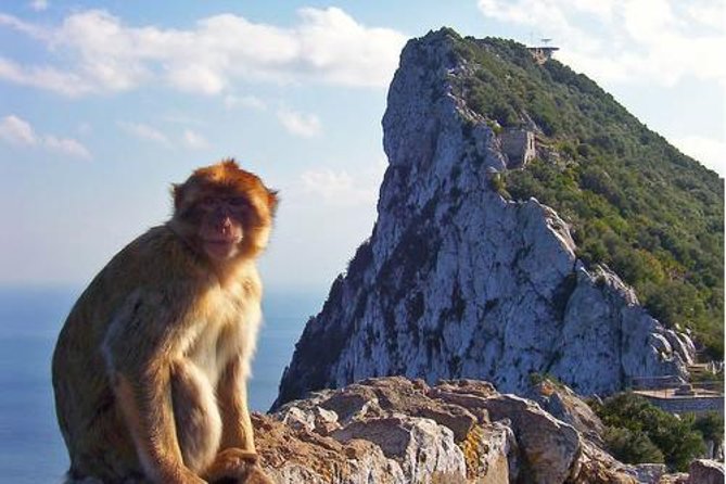 Historic Gibraltar Rock and St Michael's Cave Tour from Seville - The guide and group experience