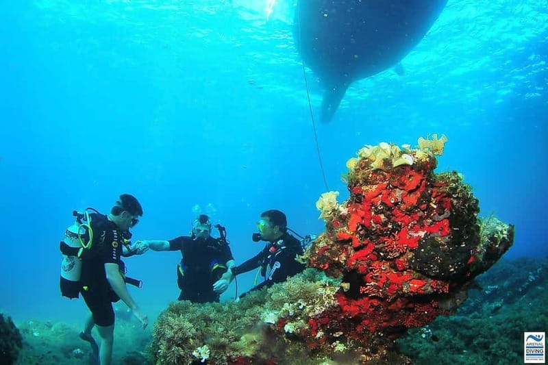 Ibiza Scuba Diving for Beginners and Snorkeling - A gentle first look at Ibiza underwater