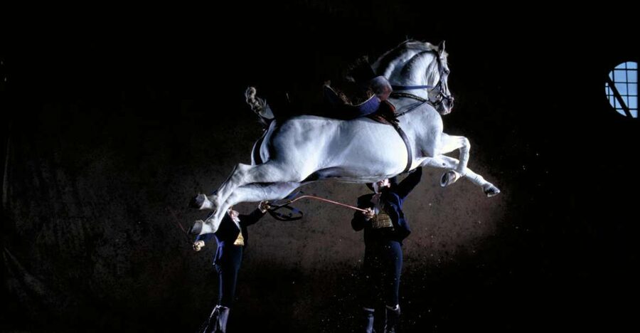 Jerez de la Frontera: Andalusian Horse Dance and Museums - Spanish music, formal costumes, and old riding traditions