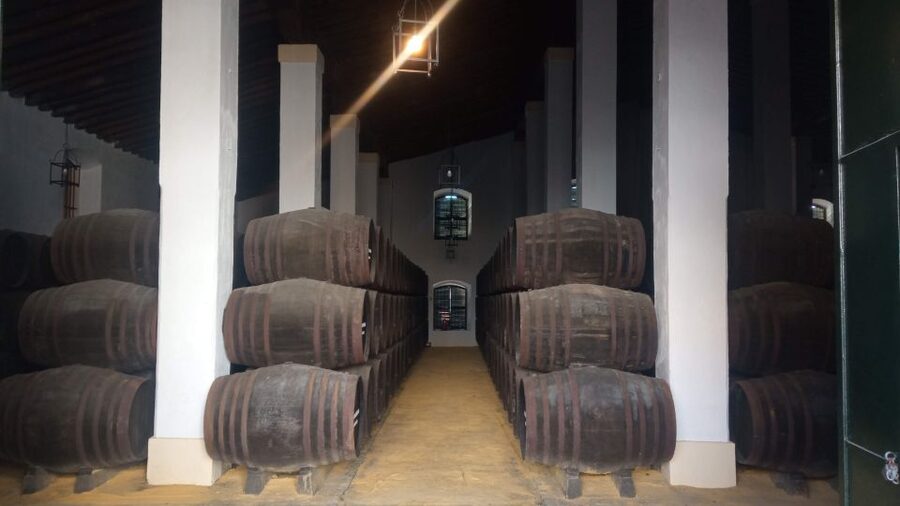 Jerez de la Frontera: Sherry Winery Tour with Tasting - The visitor center turns sherry into a story