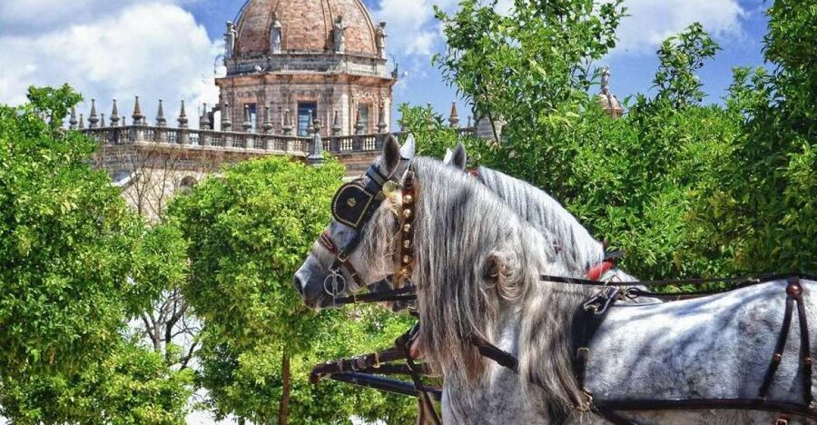Jerez: Historic Center Guided Tour - Why Jerez makes a good walking tour