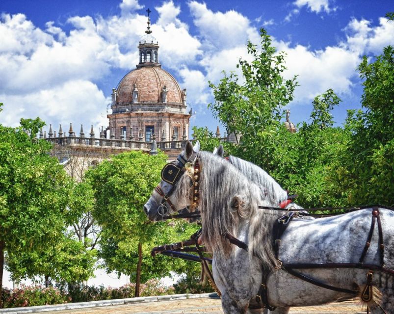 Jerez: Historic Center Guided Tour - The Alcázar and the meeting of two Jerez neighborhoods