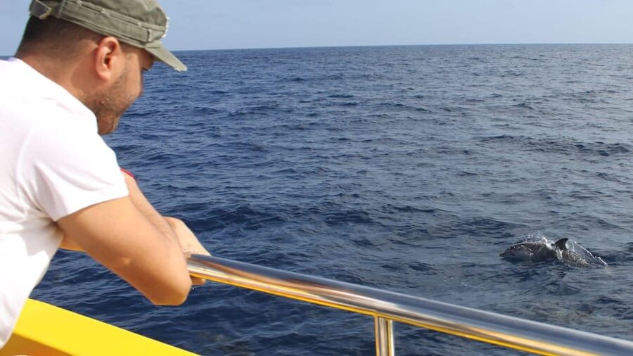 Lanzarote: 2.5-Hour Sunset and Dolphins Cruise - Getting to Puerto del Carmen from your hotel