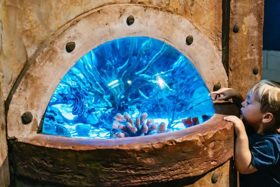 Lanzarote: Aquarium Entry Ticket - What families should know