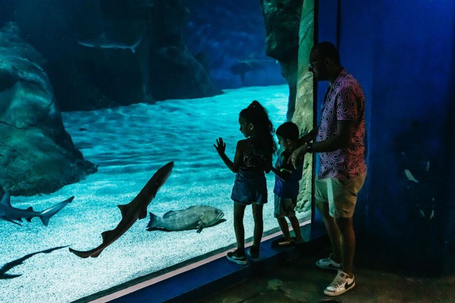 Lanzarote: Aquarium Entry Ticket - Tropical fish and coral bring color to the middle of the visit