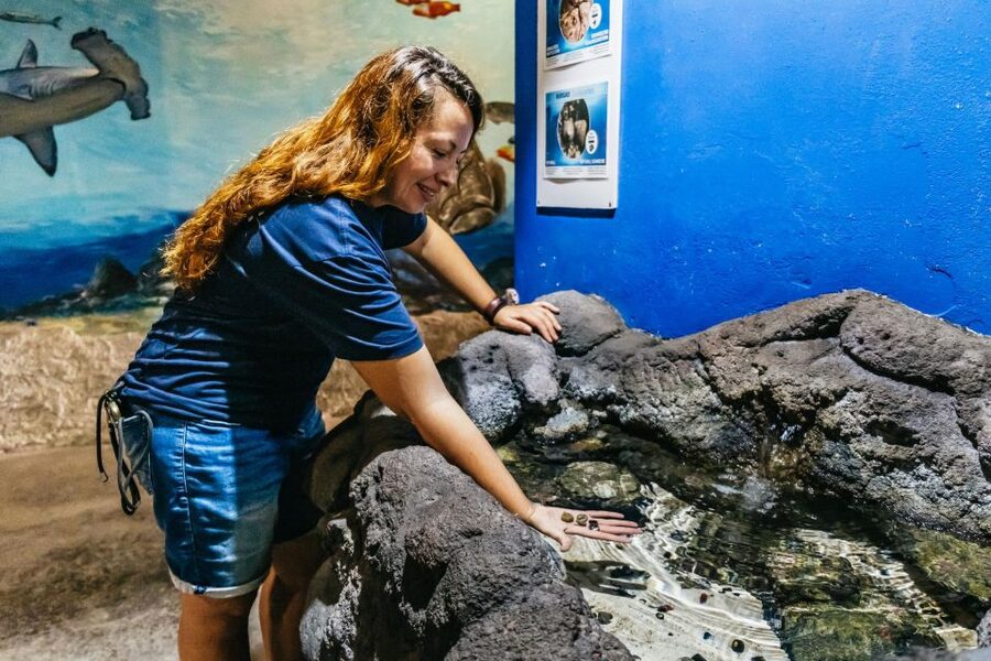 Lanzarote: Aquarium Entry Ticket - The underwater tunnel is the main event