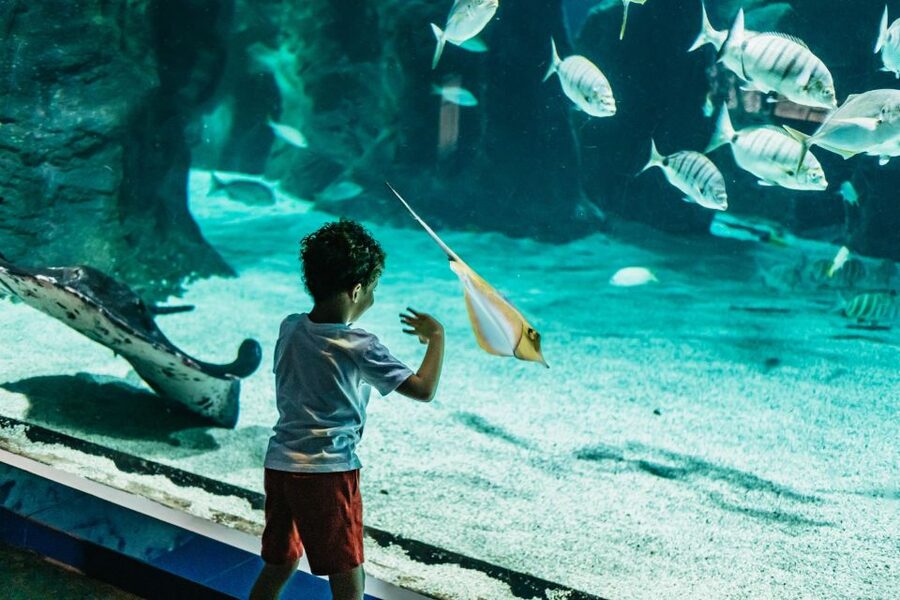 Lanzarote: Aquarium Entry Ticket - Start with species from the Canary Islands