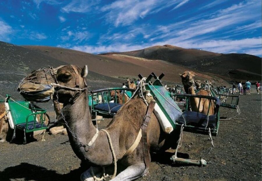 Lanzarote: Day Tour for Cruise Passengers - The Green Lagoon and salt marshes