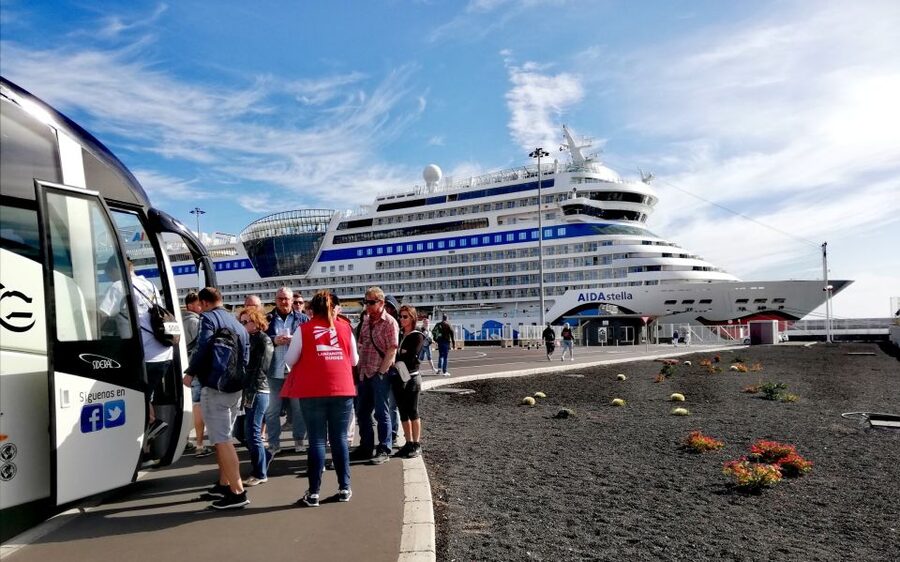 Lanzarote: Day Tour for Cruise Passengers - La Geria: wine grown in black volcanic soil