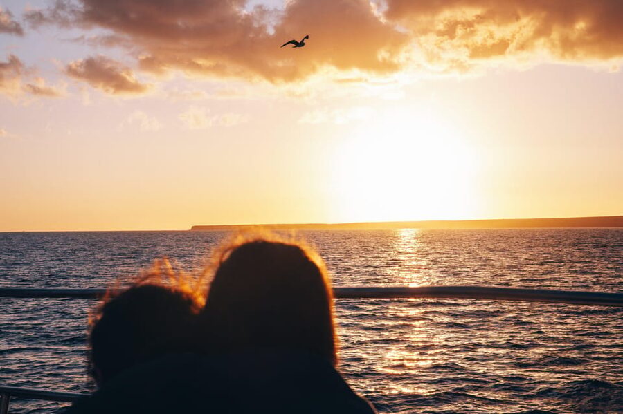 Lanzarote: Dolphin-Watching Sunset Cruise with Transfers - Setting sail from Puerto del Carmen at golden hour