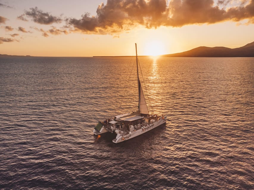 Lanzarote: Dolphin-Watching Sunset Cruise with Transfers - How the dolphin search works