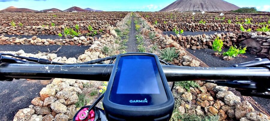 Lanzarote E-Bike Tour: Volcano Craters & Scenic Vineyards - What the guide adds to the ride