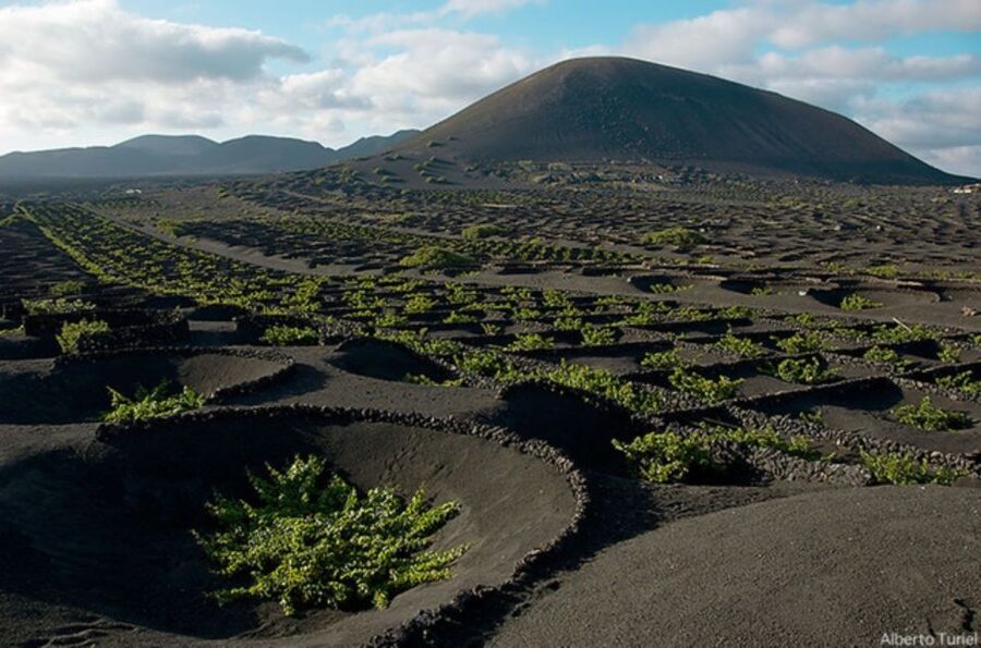 Lanzarote: Full Day Bus Tour with Scenic Views - Pickup can shape the first hour
