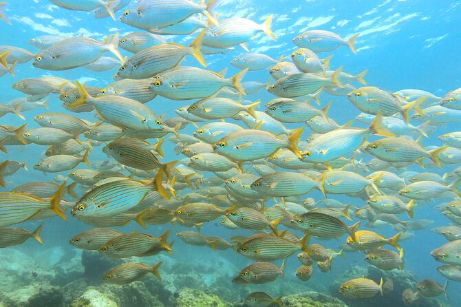 Lanzarote Introductory Scuba Diving Experience - What Happens at Manta Diving Lanzarote