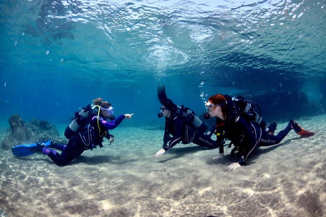 Lanzarote Introductory Scuba Diving Experience - Getting Comfortable With the Equipment