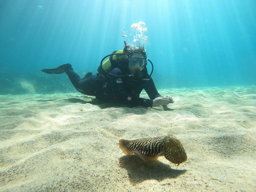 Lanzarote: Scuba Diving for Beginners - 1 Dive - Your first breath beneath Lanzarote