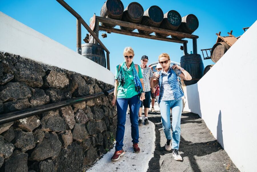Lanzarote: Timanfaya National Park & La Geria Tour - Practical advice for a smoother outing