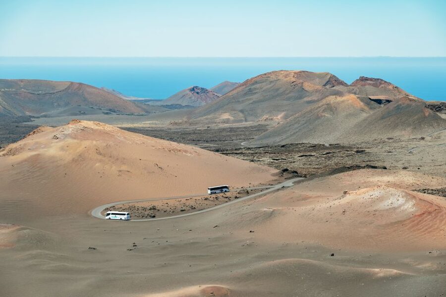 Lanzarote: Timanfaya National Park & La Geria Tour - La Geria, where vineyards grow in volcanic ash