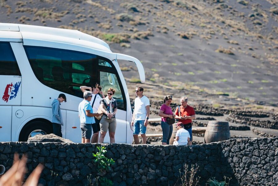 Lanzarote: Timanfaya National Park & La Geria Tour - Who will enjoy this tour most?