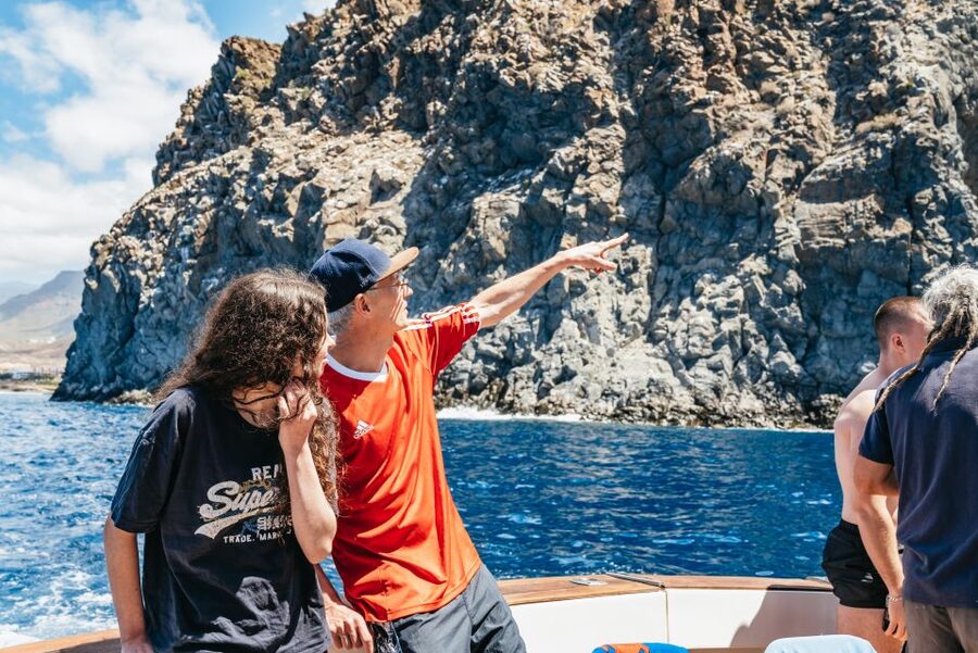 Las Galletas: Whale & Dolphin Tour with Local Skipper - Key details at a glance