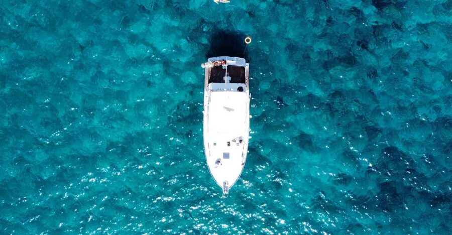 Las Galletas: Whale & Dolphin Tour with Local Skipper - Booking and meeting point tips