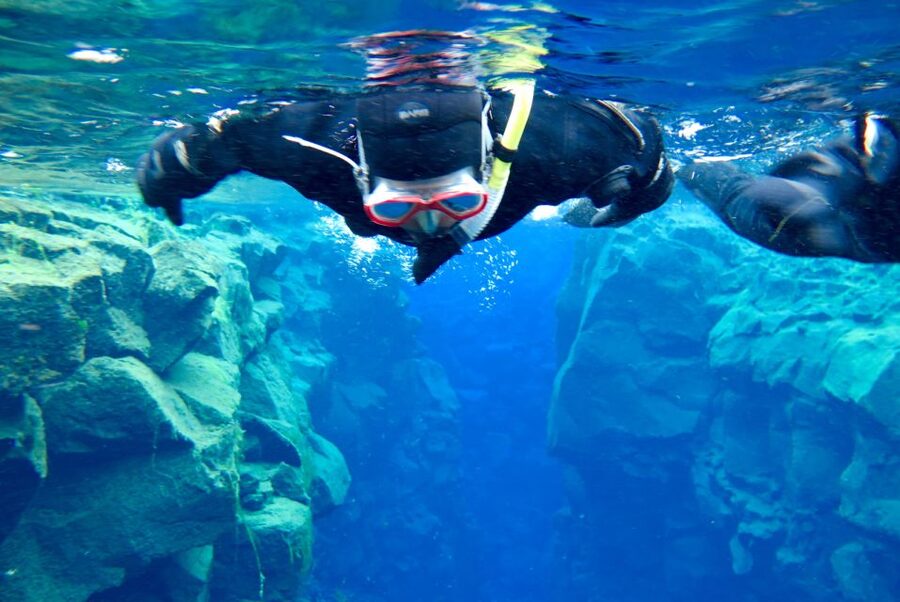 Las Palmas: Las Canteras Beach Snorkeling Trip - What you may see beneath Las Canteras