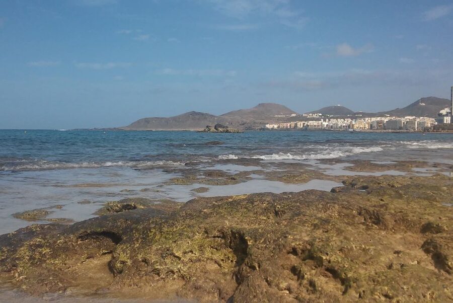 Las Palmas: Las Canteras Beach Snorkeling Trip - From the Emoción Apnea office to the water