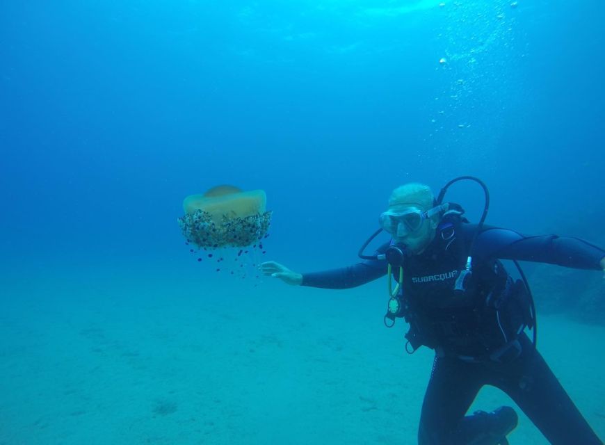 Lloret de Mar: Scuba Diving Experience no License Required - What this Lloret de Mar scuba experience really offers