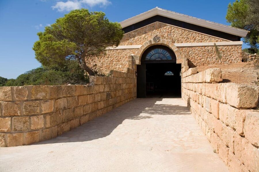 Llucmajor: Bodegas Bordoy Wine Tour - From grape to bottle in the production room