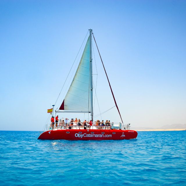 Lobos Island: 4-Hour Catamaran Trip with Lunch - The island stop: beautiful, but shorter than some expect