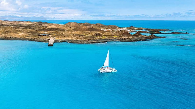 Lobos Island: 4-Hour Catamaran Trip with Lunch - What makes Lobos Island special