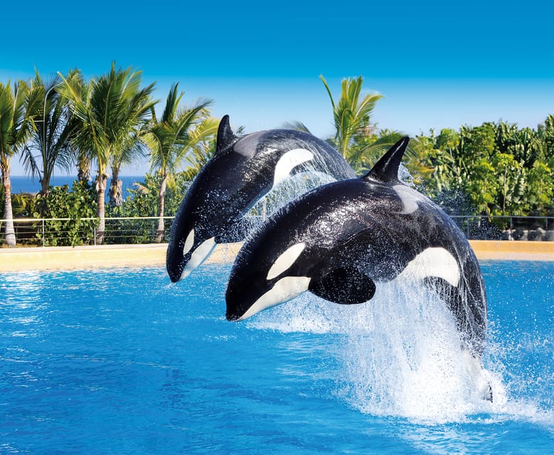Loro Parque and Siam Park Combined Admission Tickets - What the animal shows mean for your day