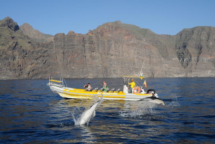 Los Gigantes: Dolphin and Whale Watching Cruise by Speedboat - Leaving Los Gigantes for the Teno-Rasca sanctuary
