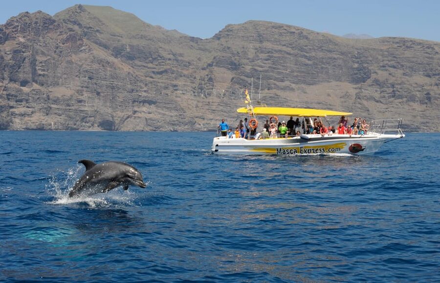 Los Gigantes: Dolphin & Whale Watching Cruise with Swim Stop - The cliffs of Los Gigantes and Masca