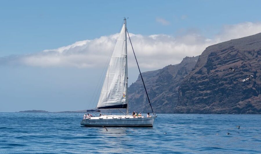 Los Gigantes: Sailing Excursion with Swimming, Drink & Tapas - The red cliffs of Los Gigantes