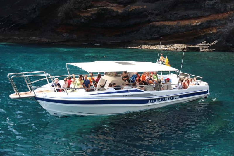Los Gigantes: Whale or dolphin watching and swimming tour in Masca - The first 30 minutes on the speedboat