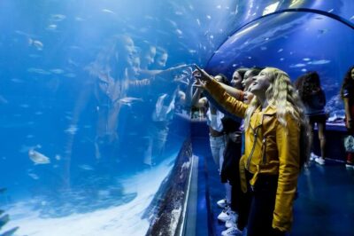 Atlantis Aquarium Entry Ticket