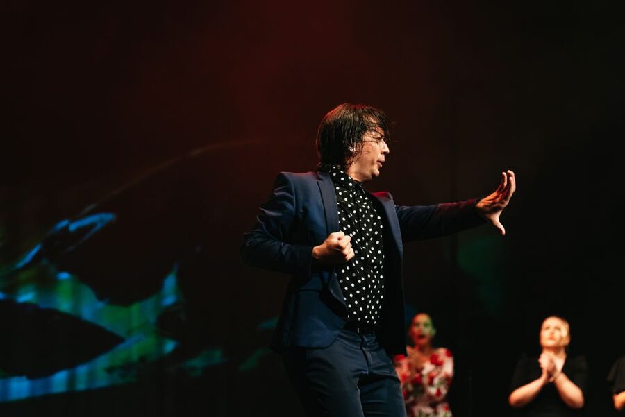 Madrid: "Emociones" Live Flamenco Performance - Key points to know before booking