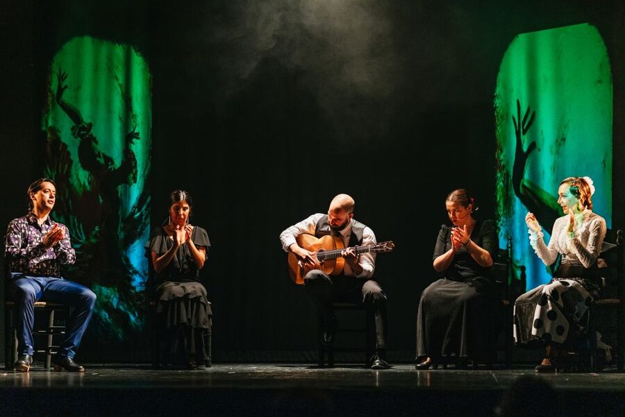 Madrid: "Emociones" Live Flamenco Performance - What the performance feels like from the audience