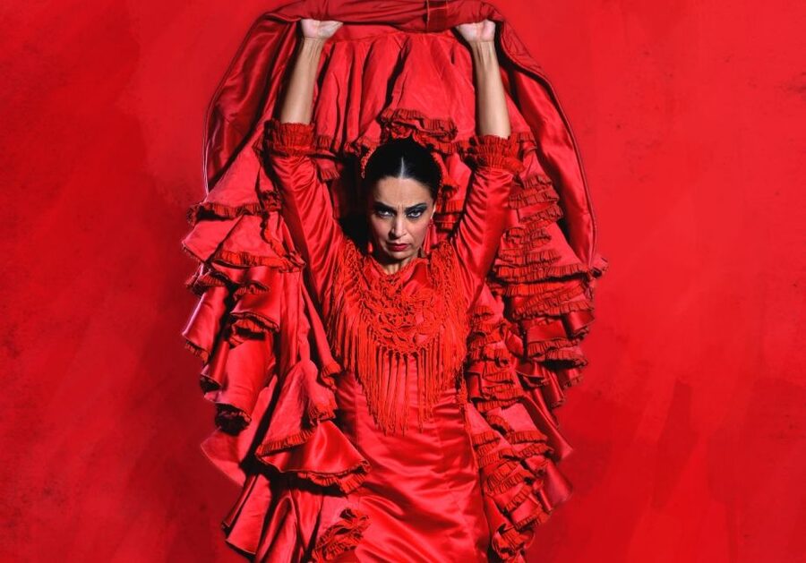 Madrid: "Emociones" Live Flamenco Performance - Is one hour enough for flamenco?