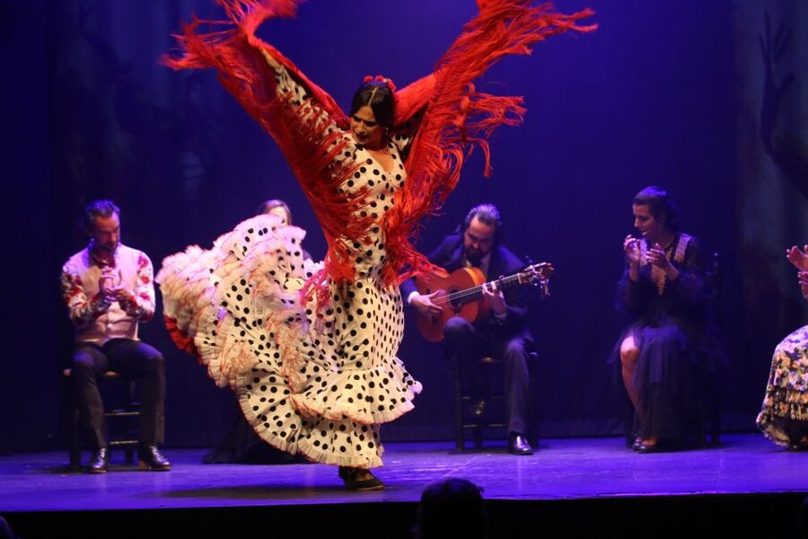 Madrid: "Emociones" Live Flamenco Performance - How authentic is the experience?