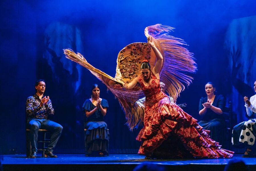 Madrid: "Emociones" Live Flamenco Performance - Who should book Emociones?