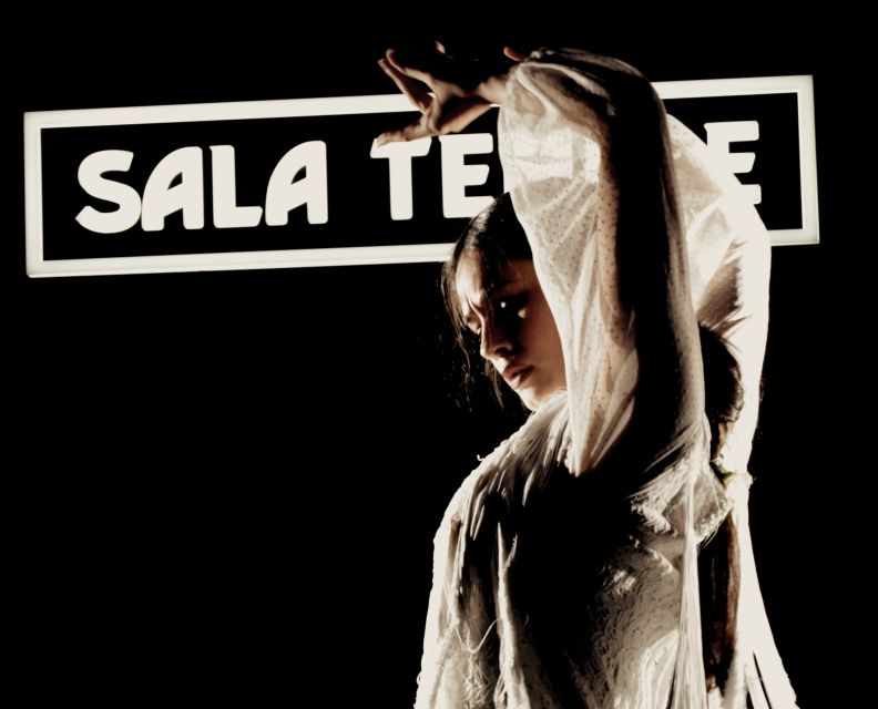 Madrid: Flamenco Show at Tablao Sala Temple with Drink - Should you book Sala Temple?