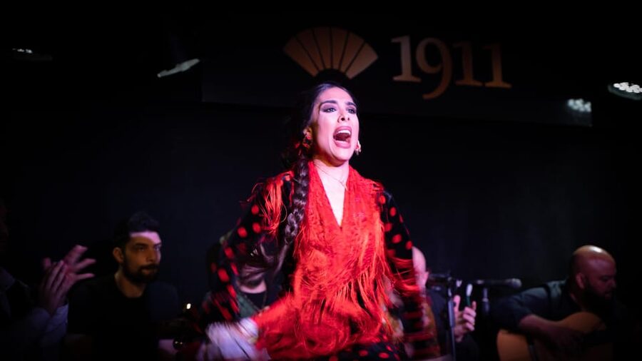Madrid: Flamenco Show&Drink at Tablao 1911 (World's Oldest) - What happens during the one-hour show
