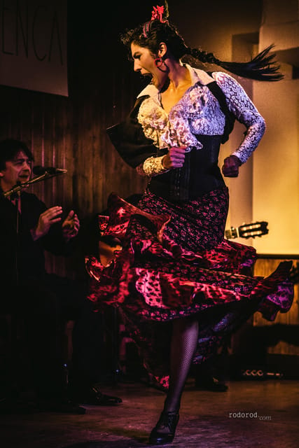 Madrid: Local Flamenco Show at El Cortijo - The room: close, dark, and not especially spacious