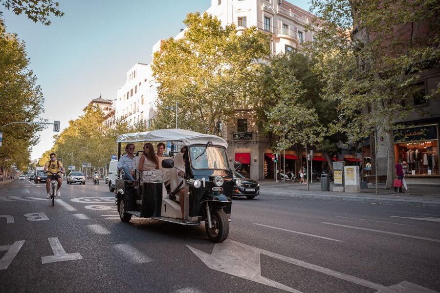 Madrid: Private City Tour by Eco Tuk Tuk - San Jerónimo, Retiro, and the rose garden